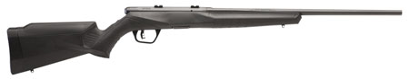 savage arms inc - B17 - .17 HMR for sale