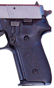 hogue - Grip Panels - SIG P228 MLD GRIP RBR PNL for sale