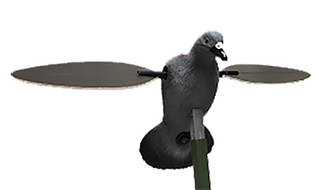 MOJO|HUNT WISE - Pigeon -  for sale