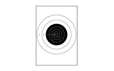 ACTION TGT BULLSEYE TAG PAPER 100PK - for sale