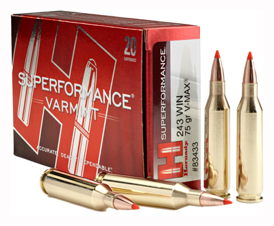 HORNADY SUPERFORMANCE VARMINT AMO 243 WIN 75GR V-MAX SPF 20RD (10 BOX CASE) - for sale