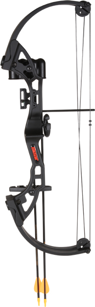 bear archery