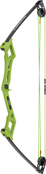 bear archery