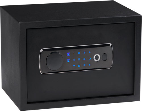 BULLDOG DUAL LED/BIOMETRIC VAULT W/ SHELF 13.5"X10"X10" - for sale