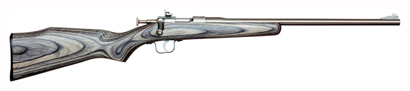 CHIPMUNK RIFLE .22LR STAINLESS/BLACK LAMINATE - for sale