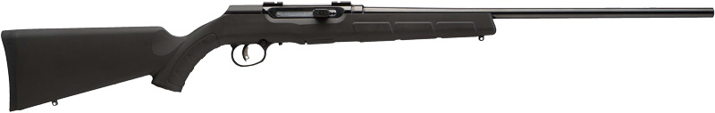 SAVAGE A17 .17HMR SPORTER 22" 10-SH ACCU TGR BLUED/BLK SYN - for sale