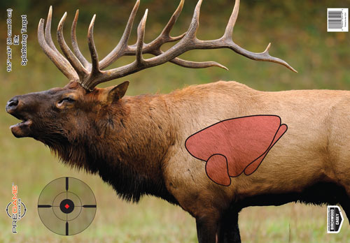 B/C TARGET PREGAME 16.5"X24" ELK TARGET 3-TARGETS - for sale